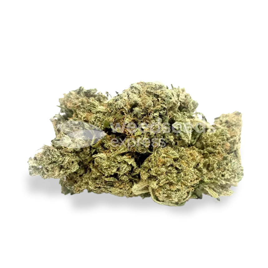 Amnesia Kush bud