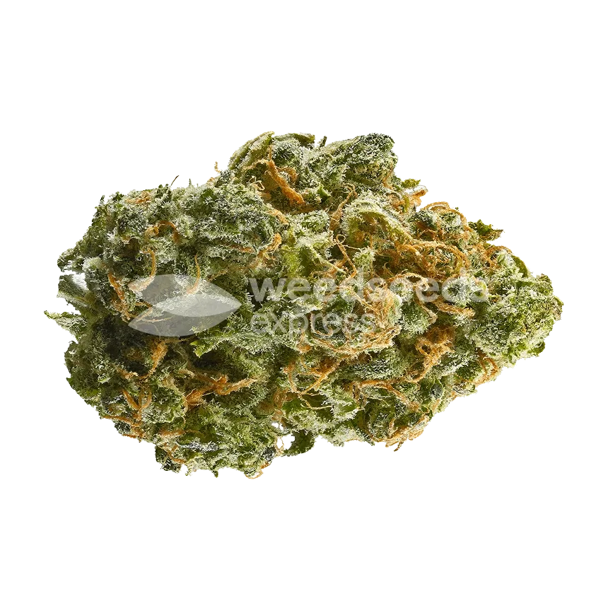 Aspirin OG Bud