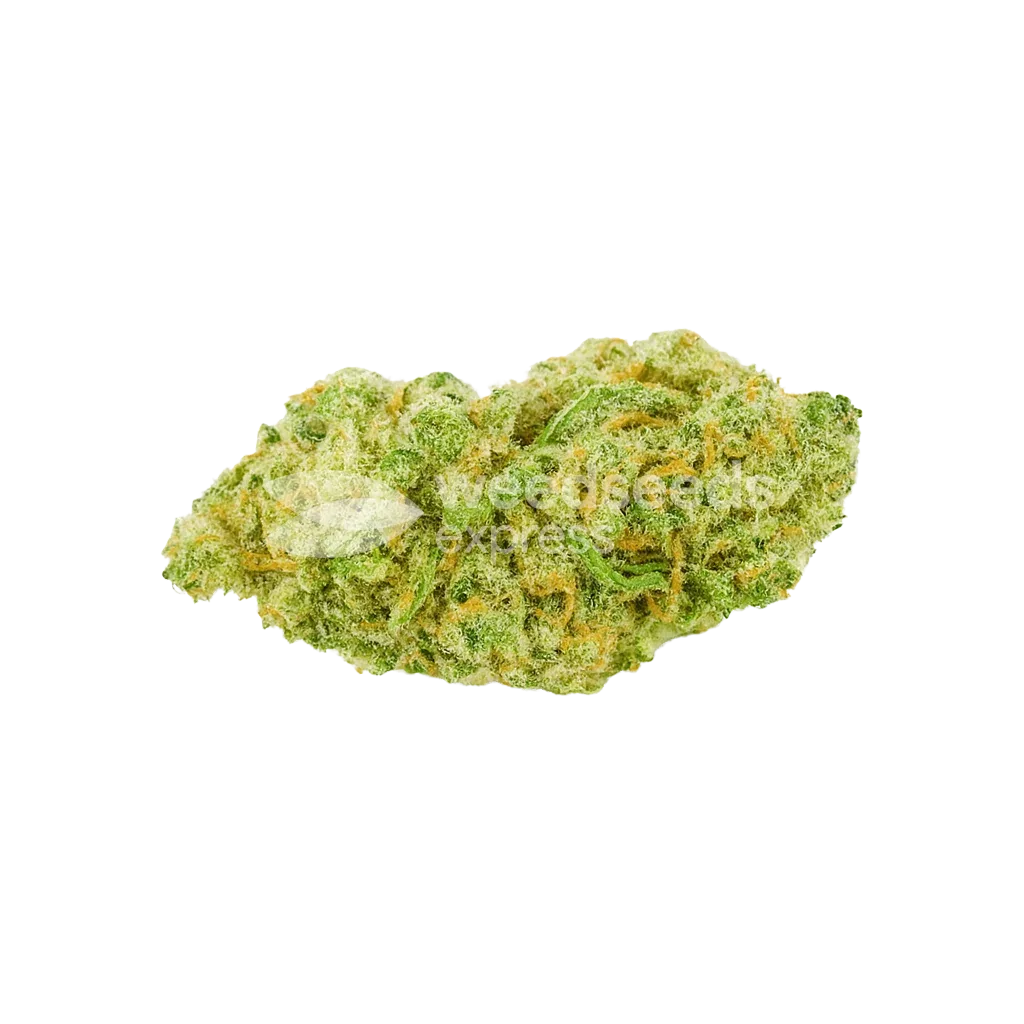 Banana Kush Auto Bud