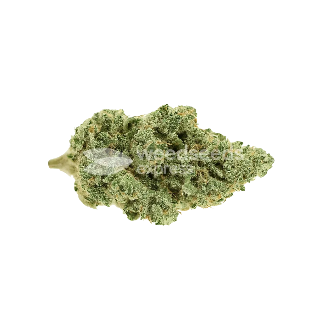 Blue Amnesia Auto Bud