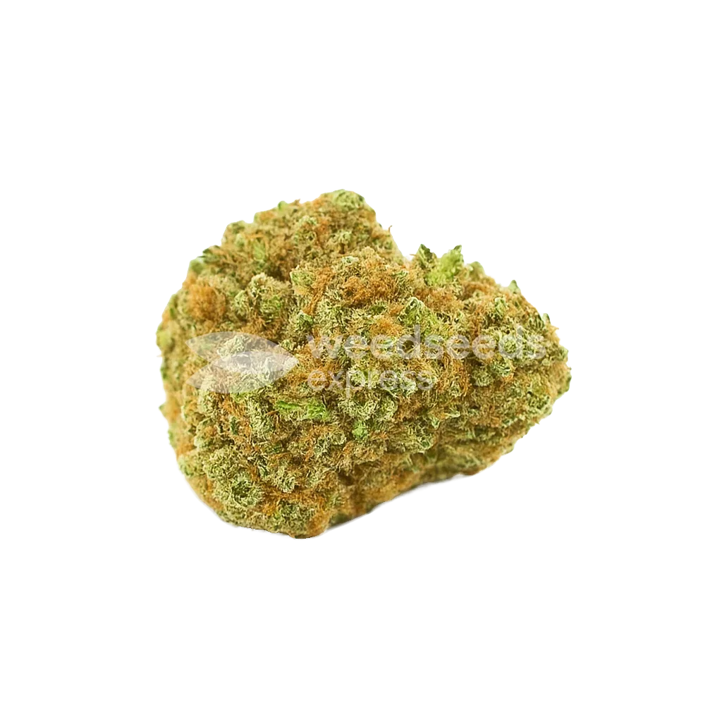 Blue Cheese Auto Bud