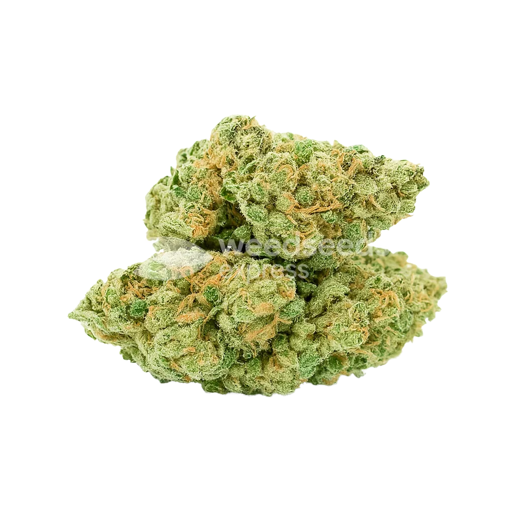 Blue Dream Auto Bud