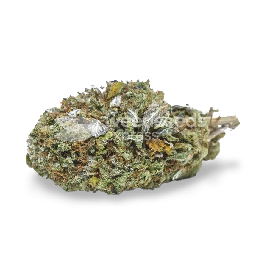Bubba Kush bud
