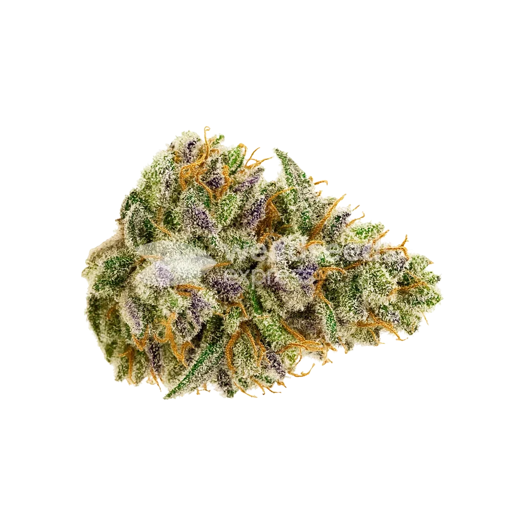 Bubblegum Sherbet Auto Bud