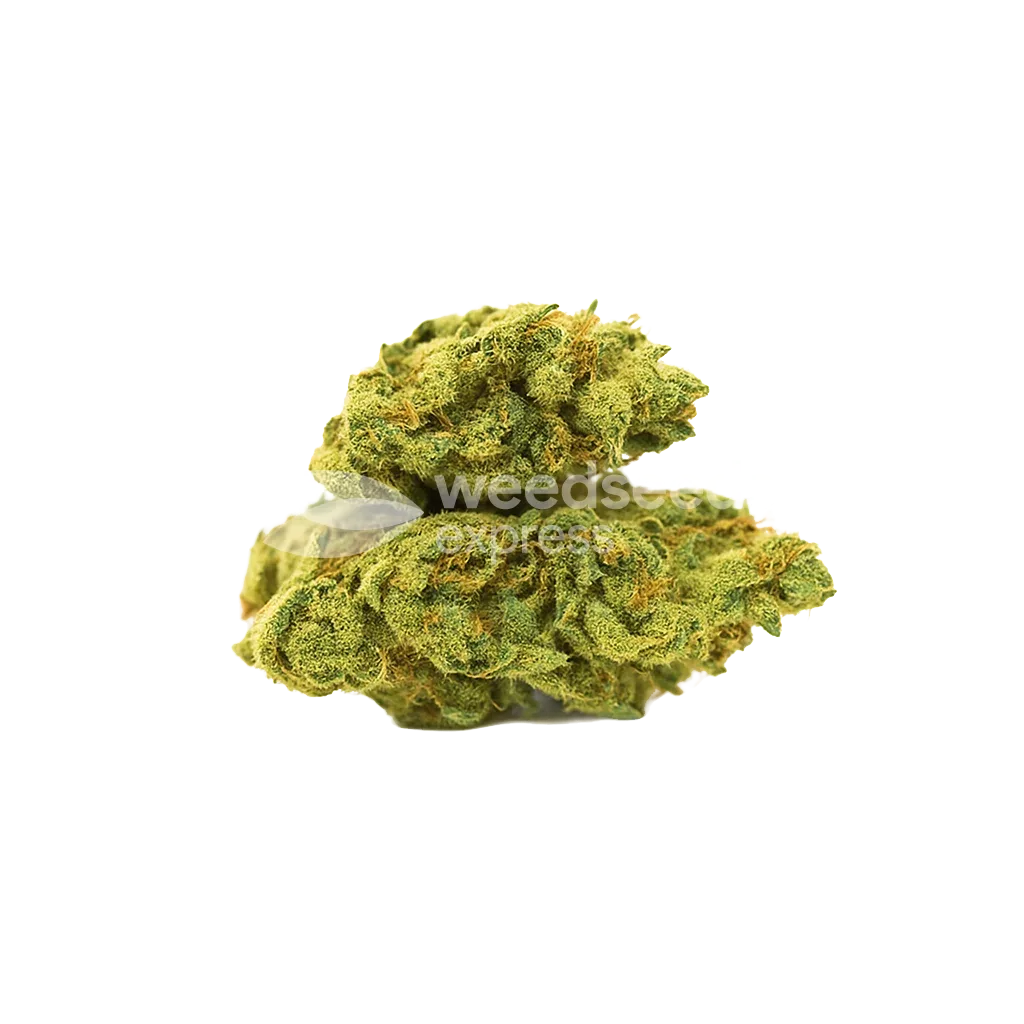 C. Banana Auto Bud