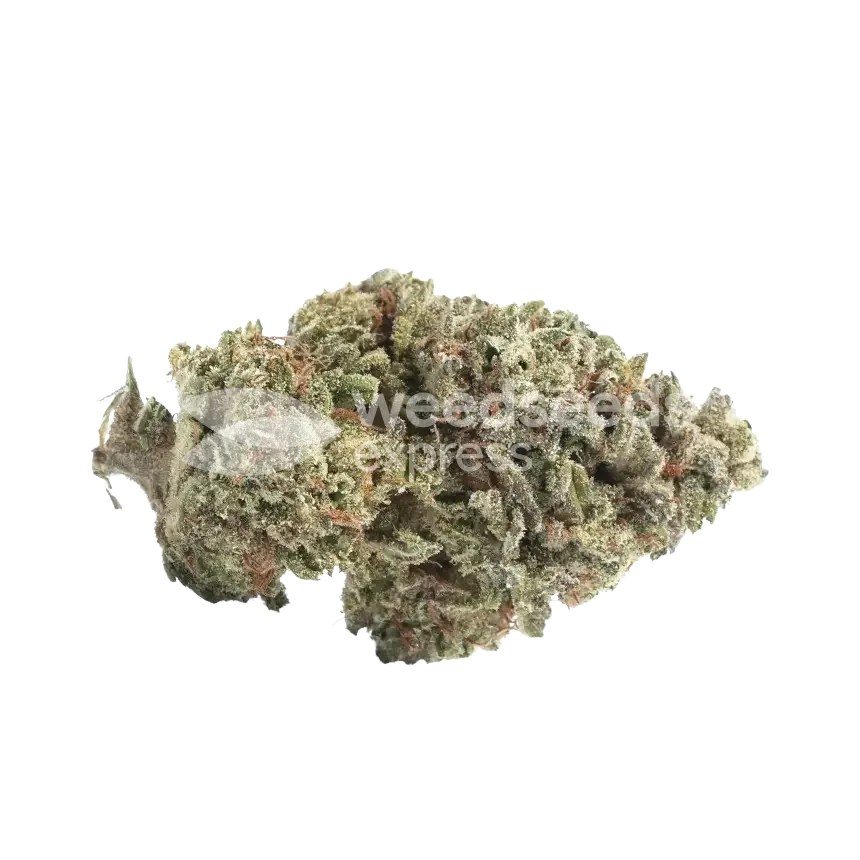 Canadian Haze Bud
