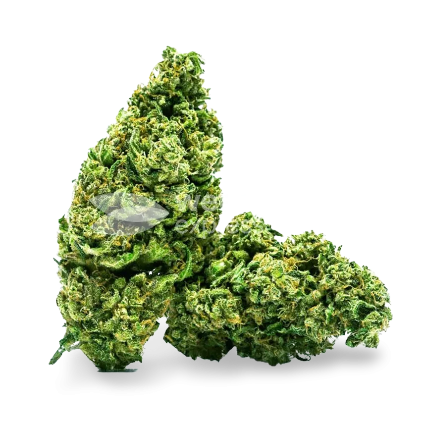 Cannatonic Bud