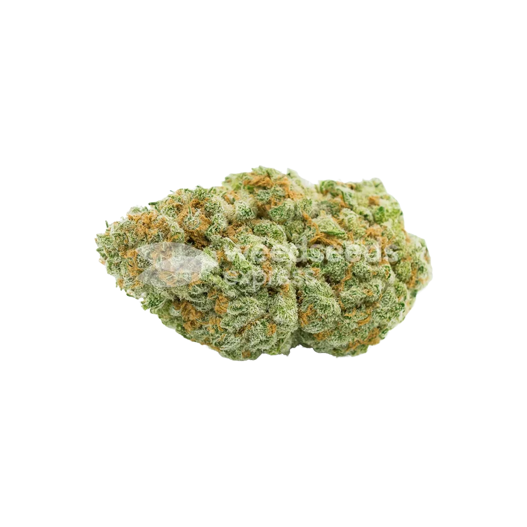 CBD Critical Mass Auto Bud