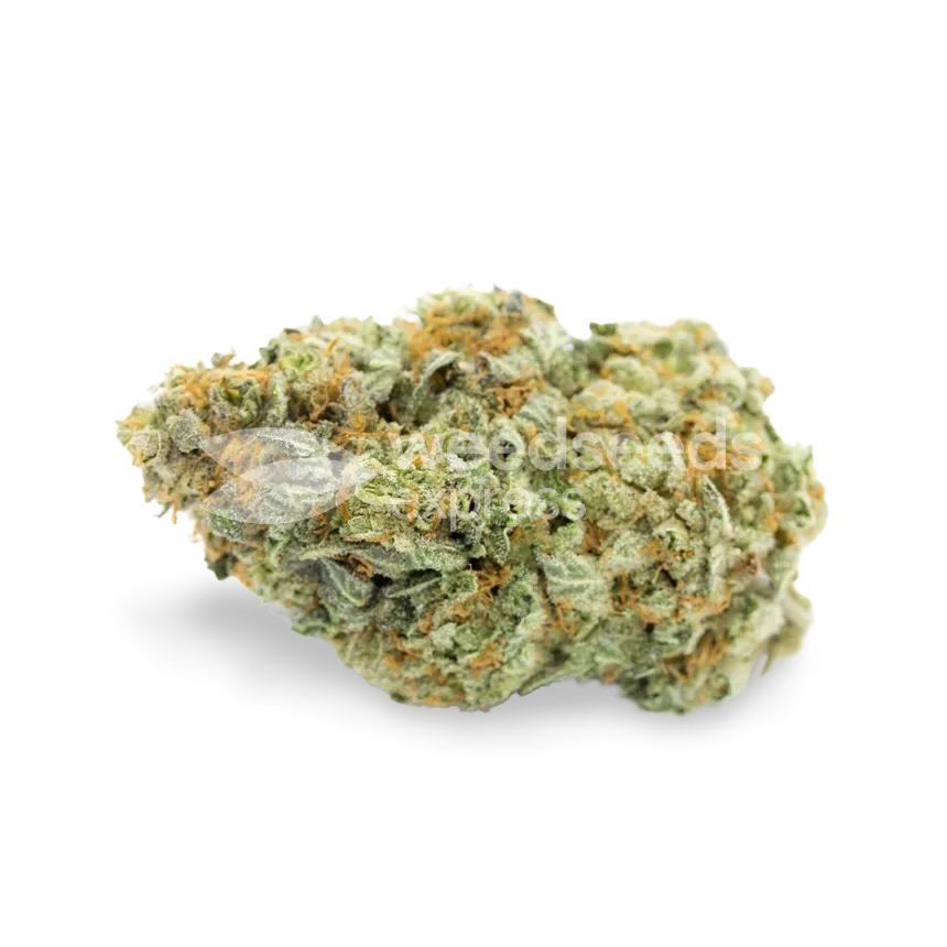 CBD Critical Mass bud