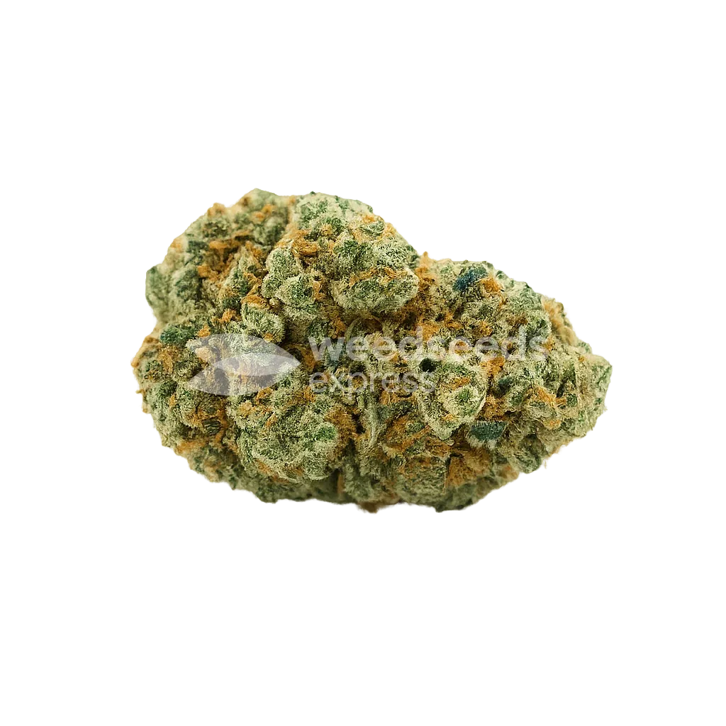 CBD White Widow Auto Bud