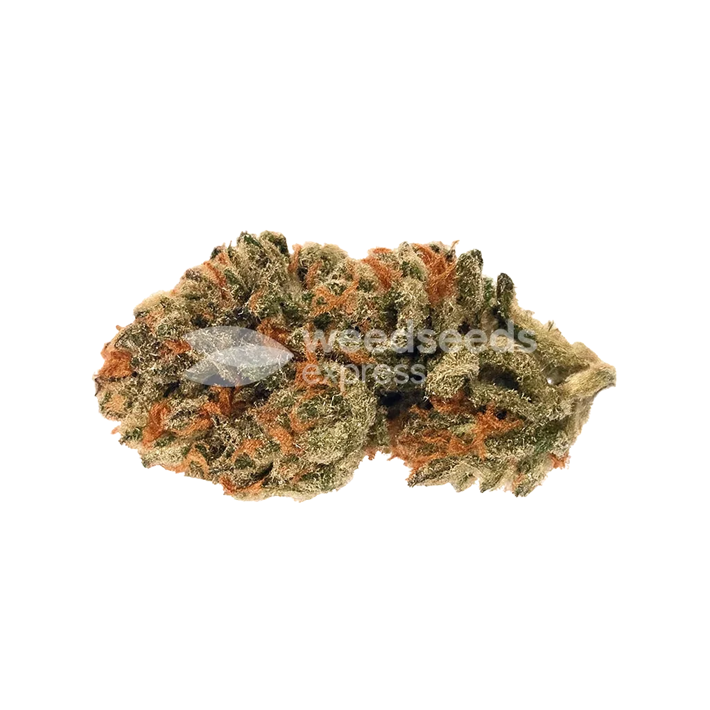 Cherry Pie Auto Bud