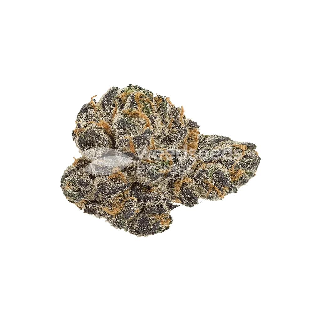Cookies and Cream Auto Bud