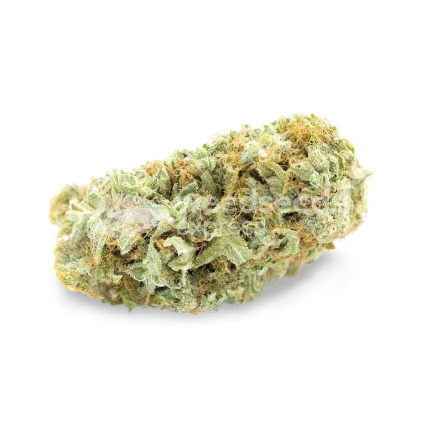 Critical cannabis top