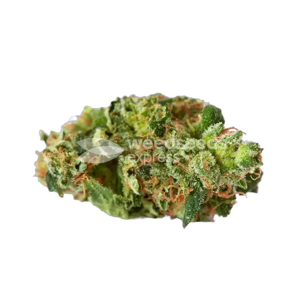 Crunch Berries Bud
