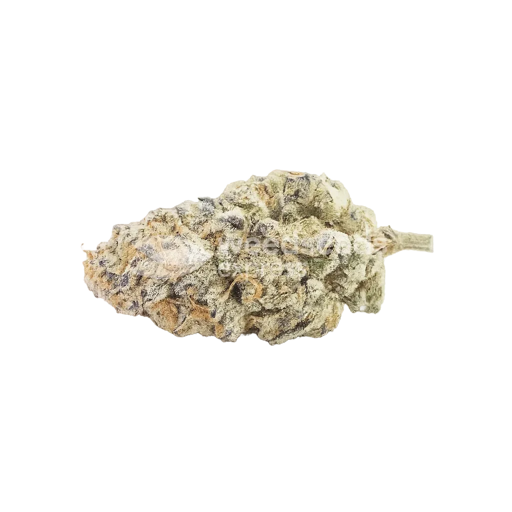 Do-si-Dos Auto Bud