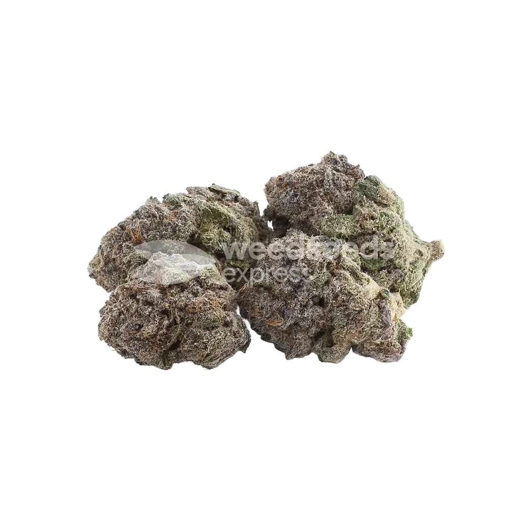 Durban Poison Auto Bud