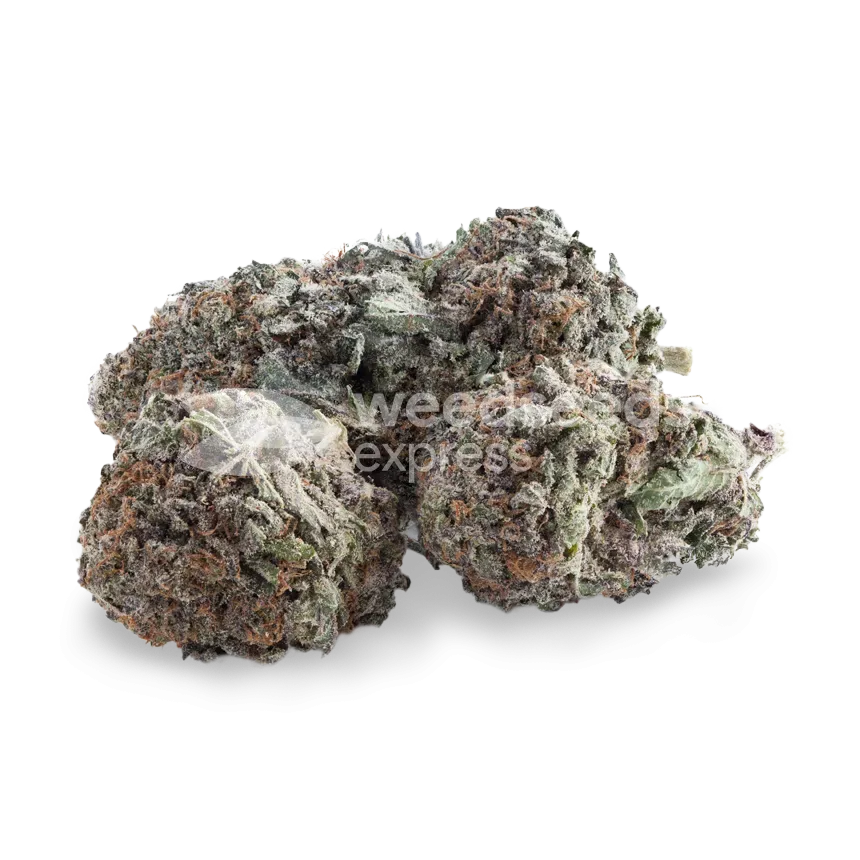 Durban Poison bud