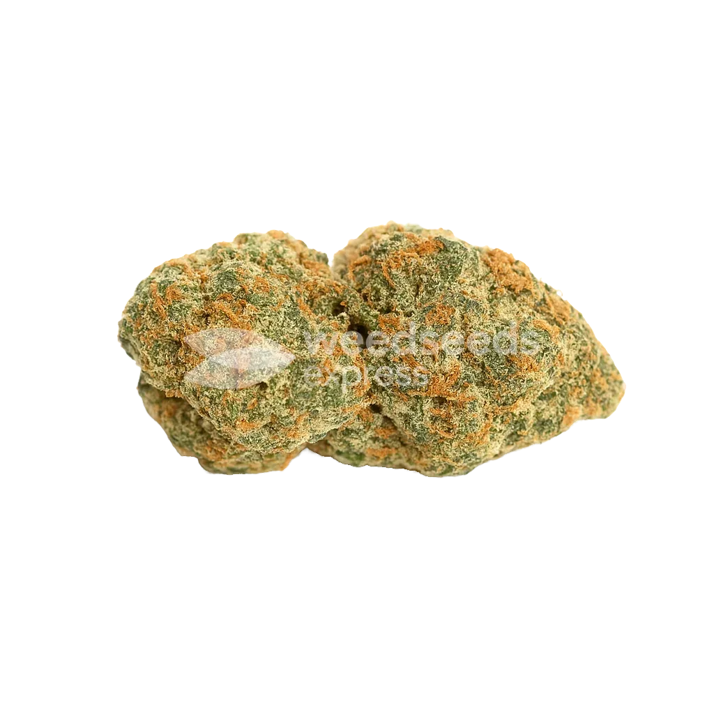 Fat Bastard Auto Bud