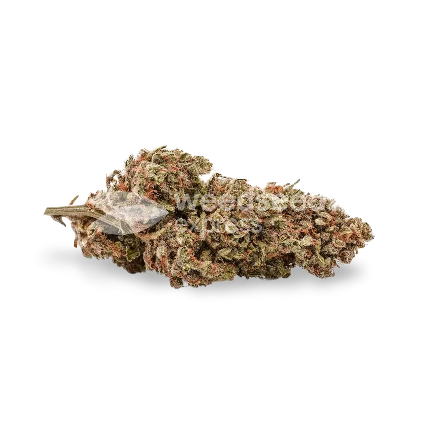 Fruity Pebbles bud