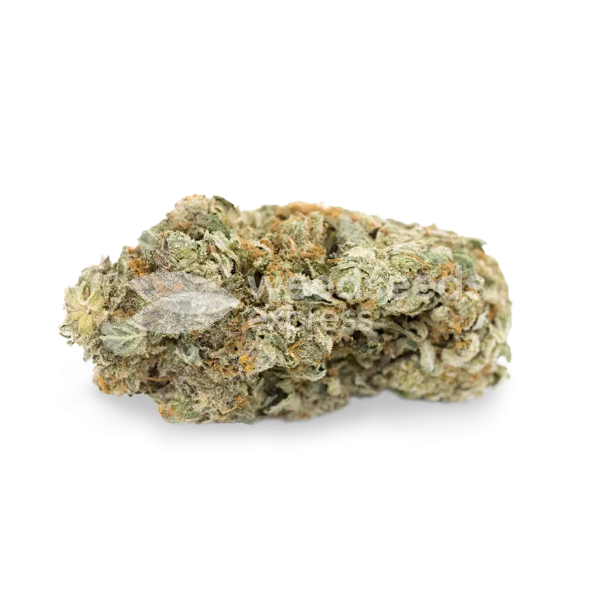 Gorilla Glue bud