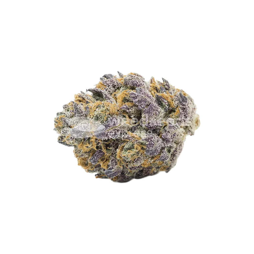 Granddaddy Purple Auto Bud