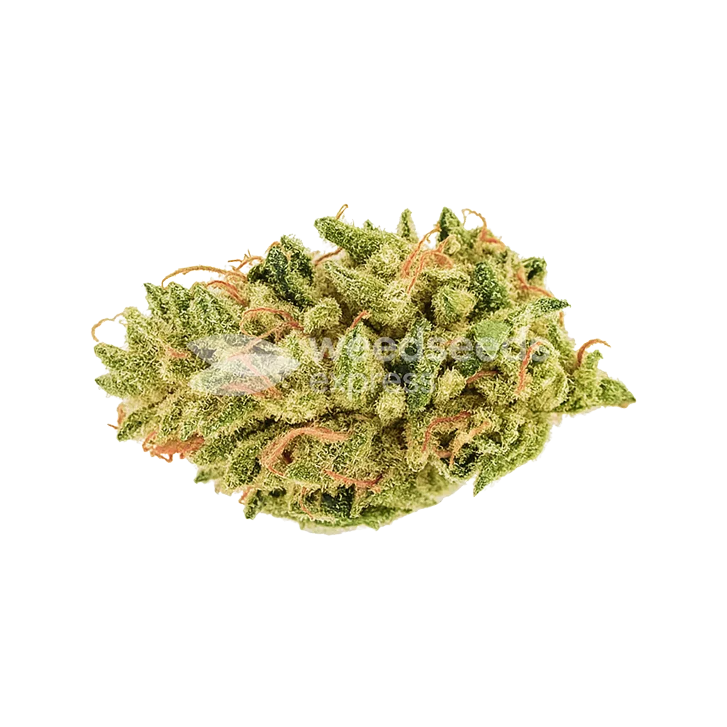 Hellfire OG Auto Bud