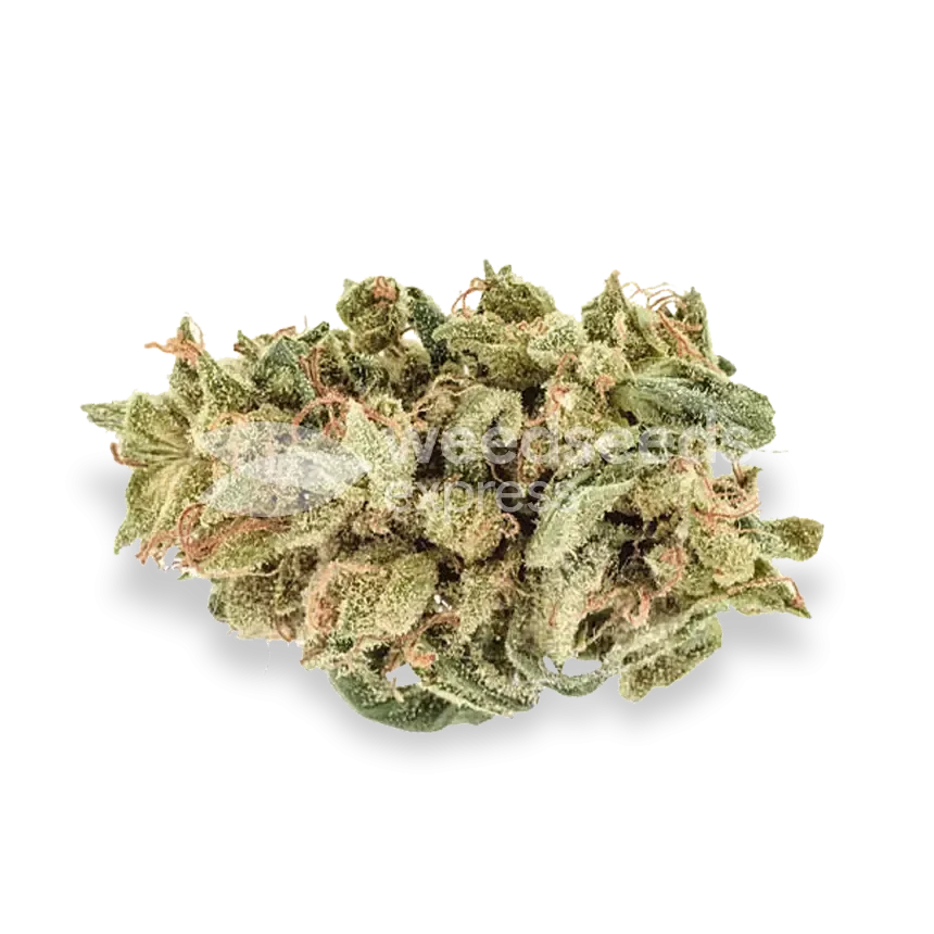 Hellfire OG bud