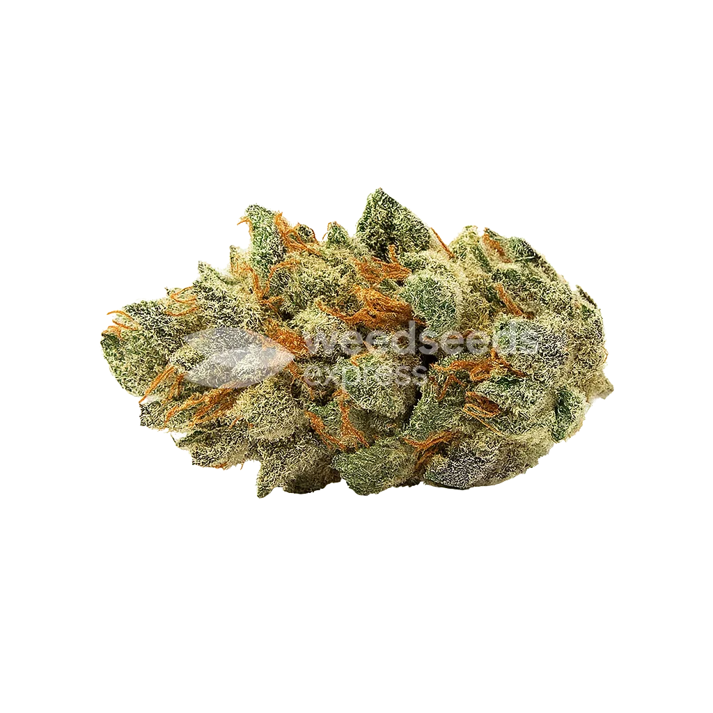 Ice Cream Cake Auto Bud