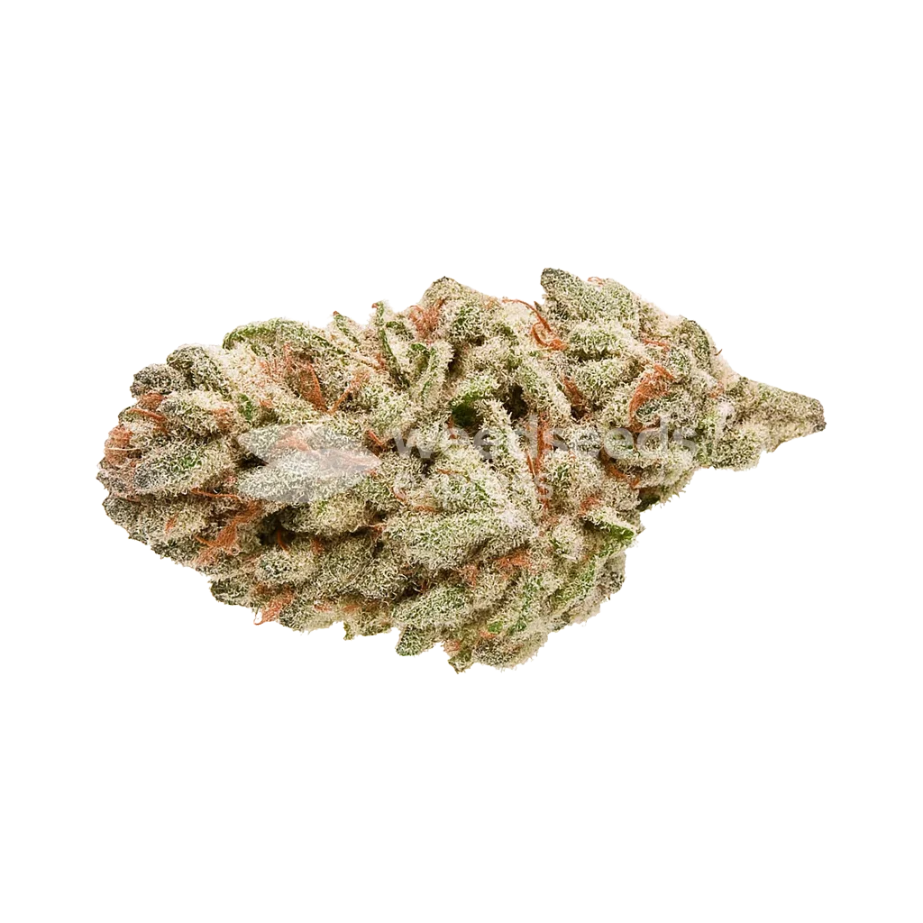 LA Confidential Auto Bud
