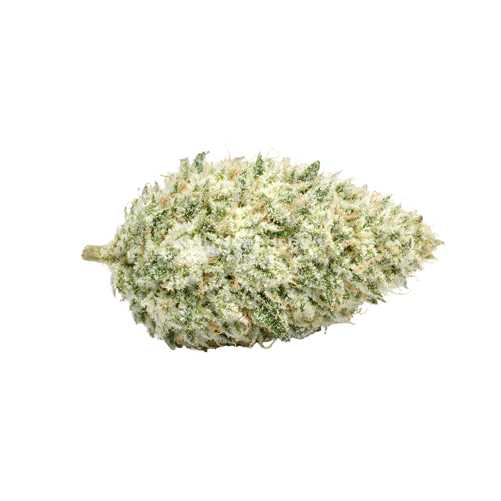 Lamb's Bread Autoflower Cannabis-top