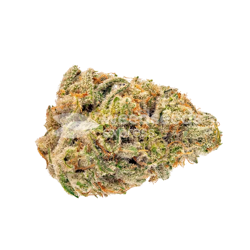 Legend OG Bud