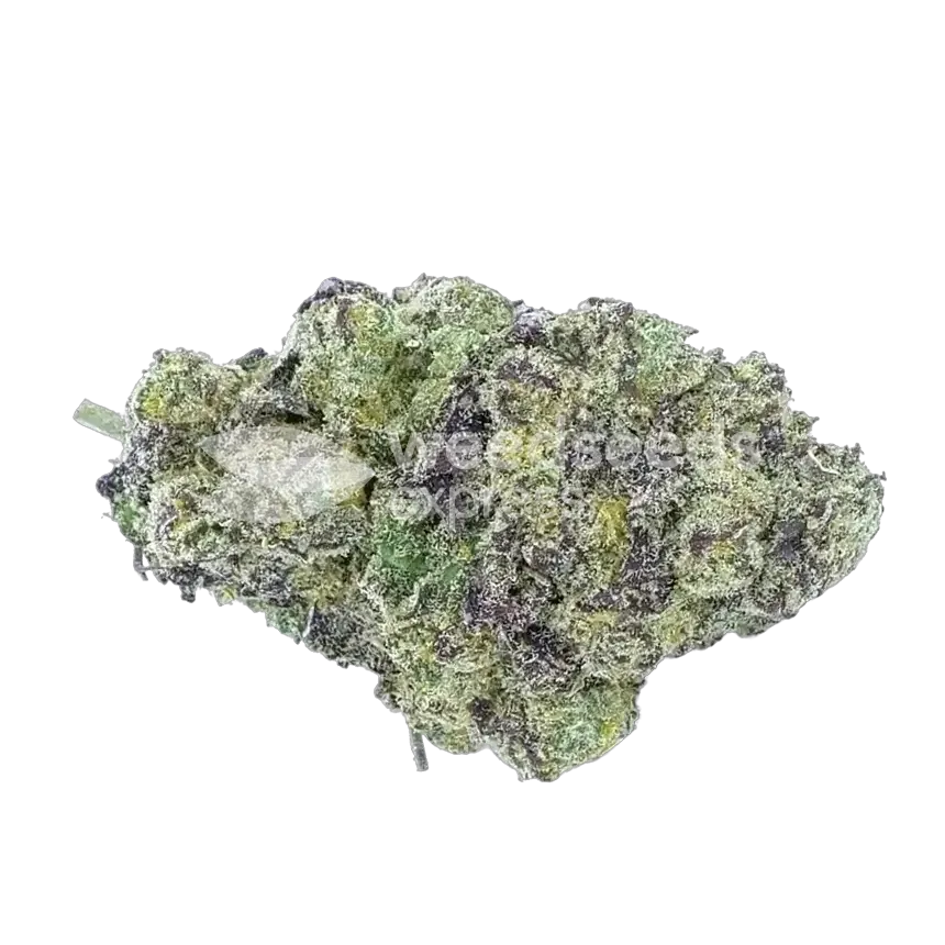 Lemon Cherry Gelato Top