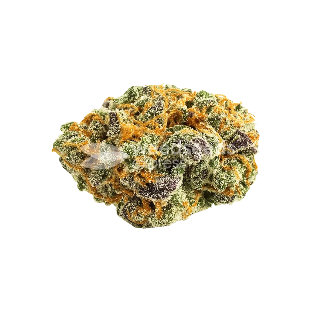 Love Potion Auto Bud