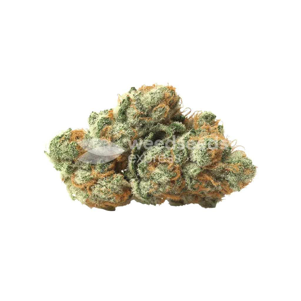 LSD Auto Bud