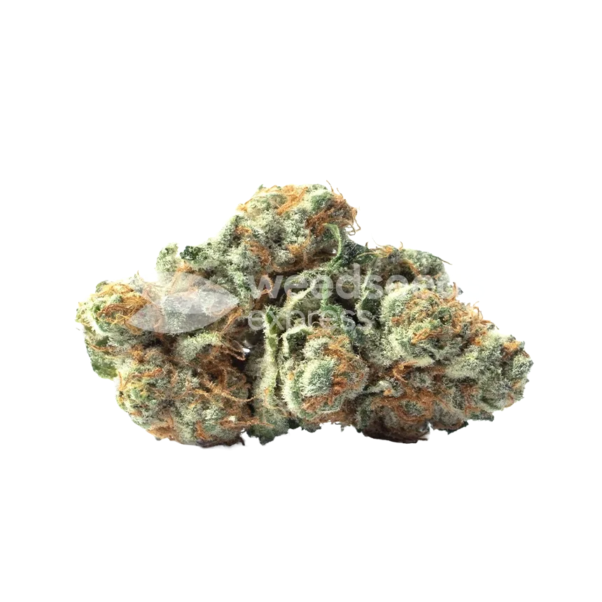 LSD Bud