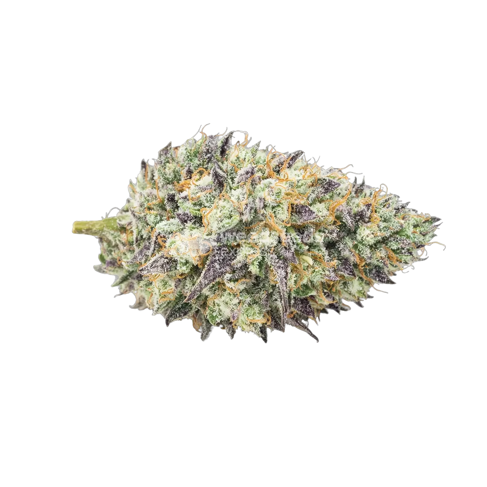 Mendo Breath Cannabis Top