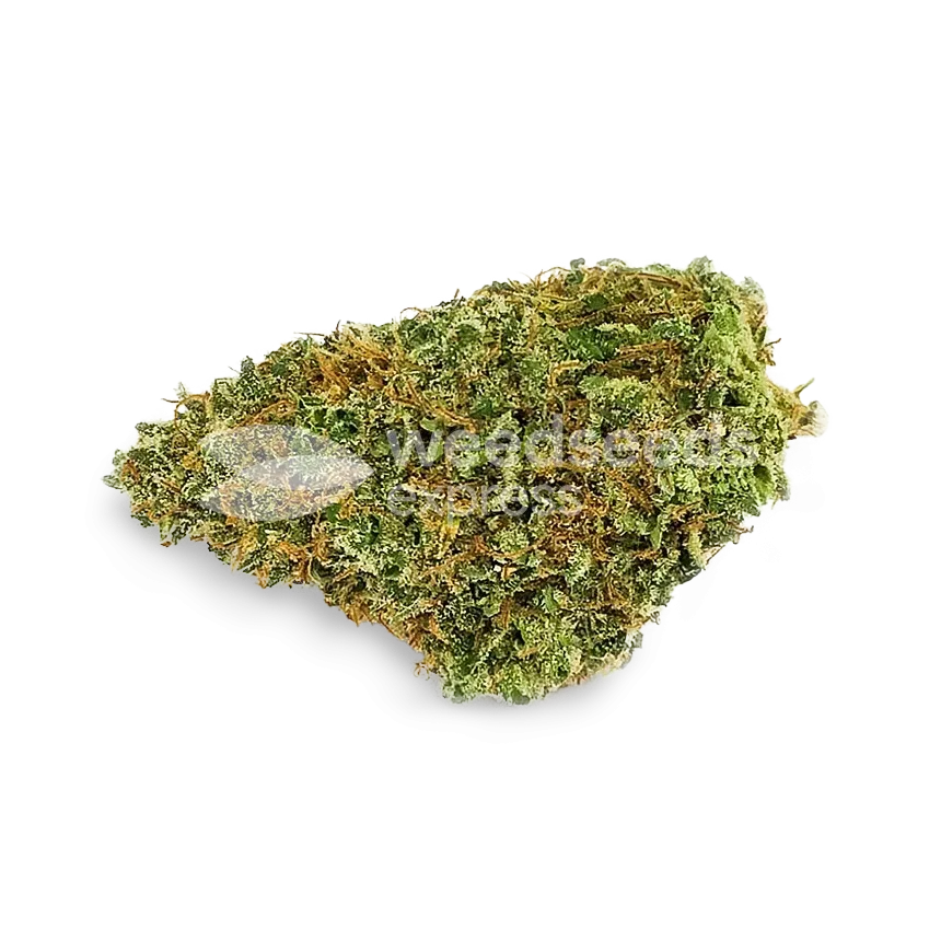 Northern Lights x Big Bud Bud