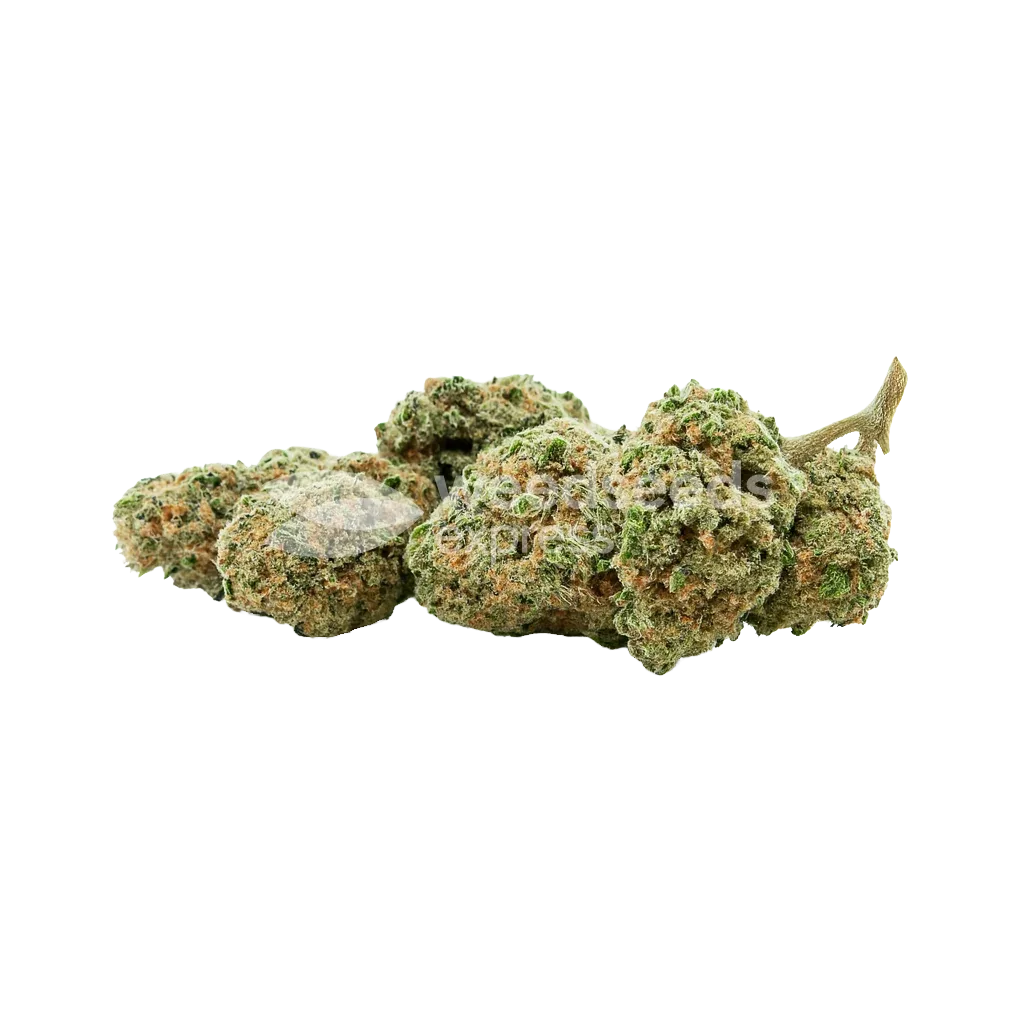 Pineapple Express Auto Bud
