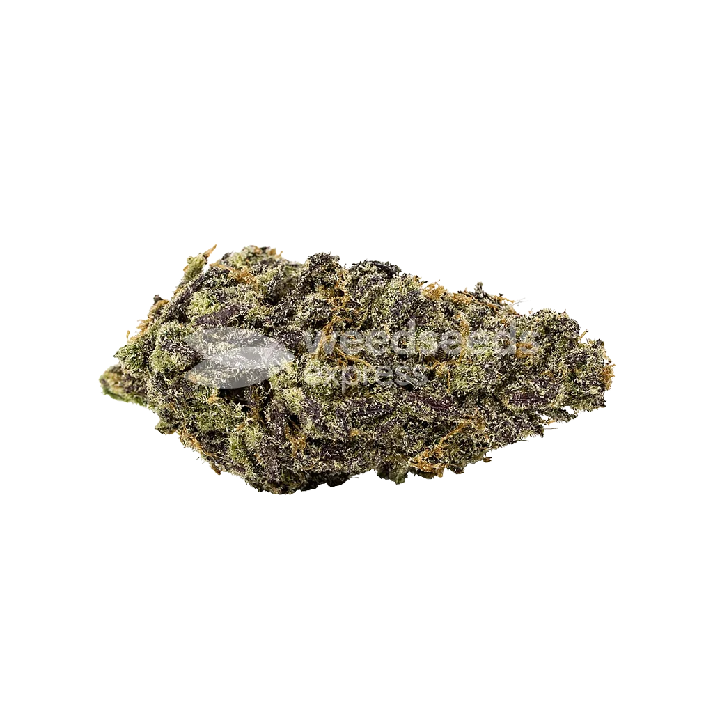 Pink Rozay Auto Bud
