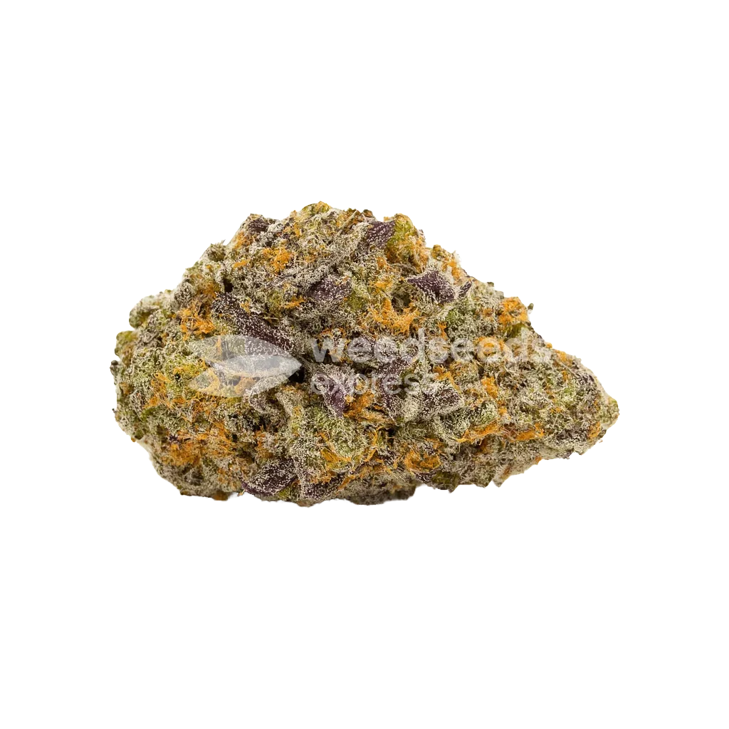 Purple Gelato Auto Bud