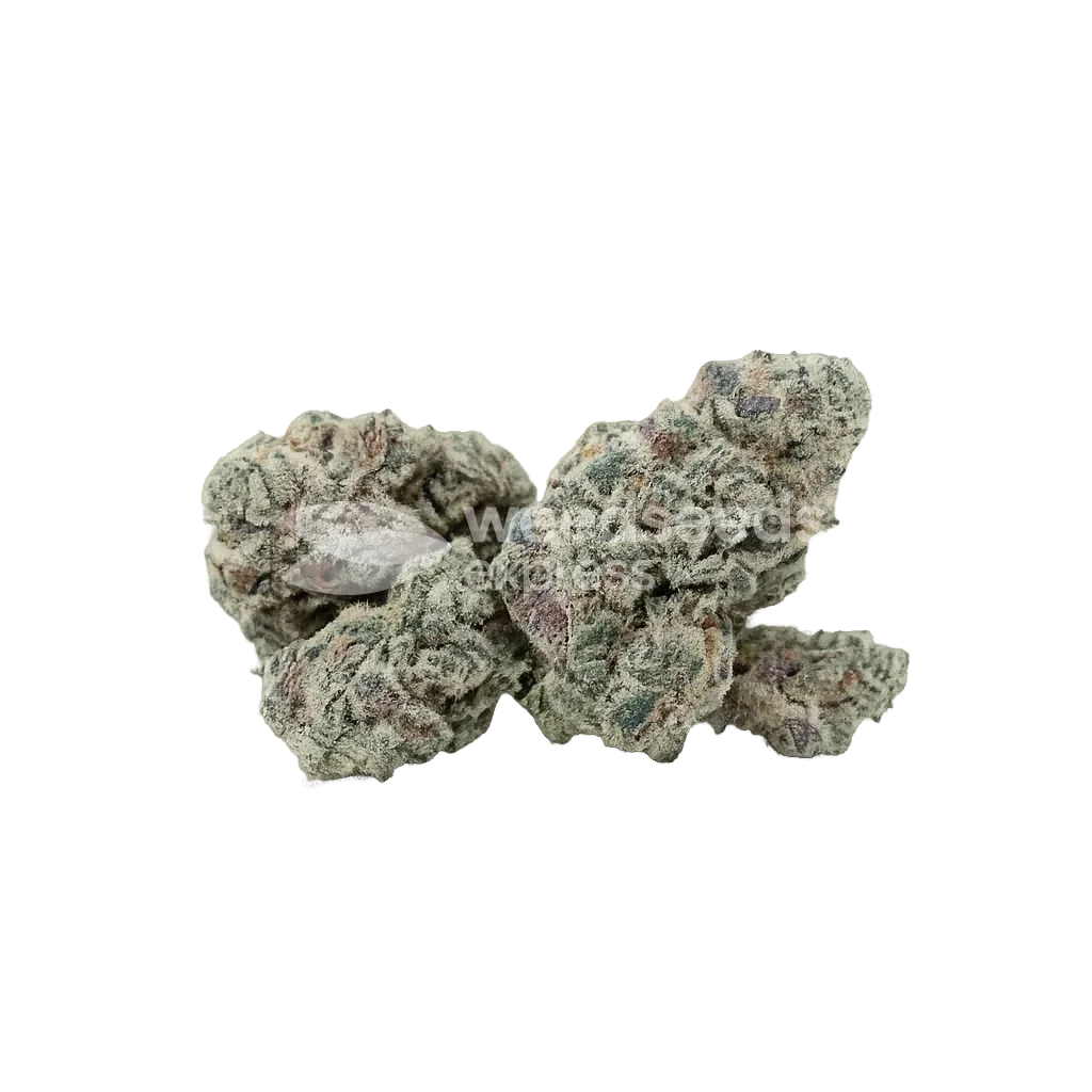 Purple Haze Auto Bud