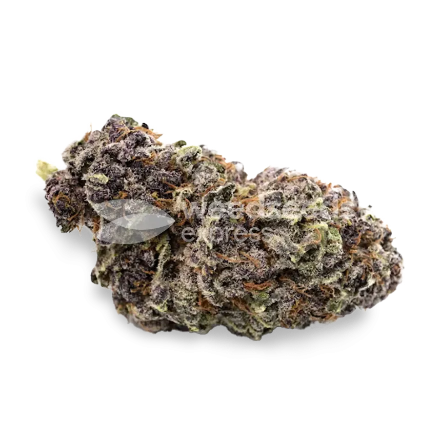 Purple Punch bud