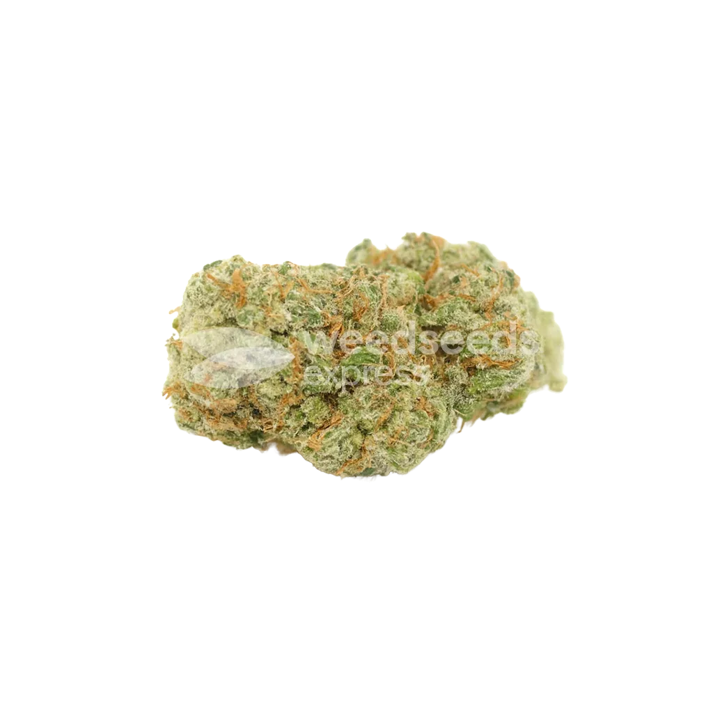 Sexxpot Auto Bud