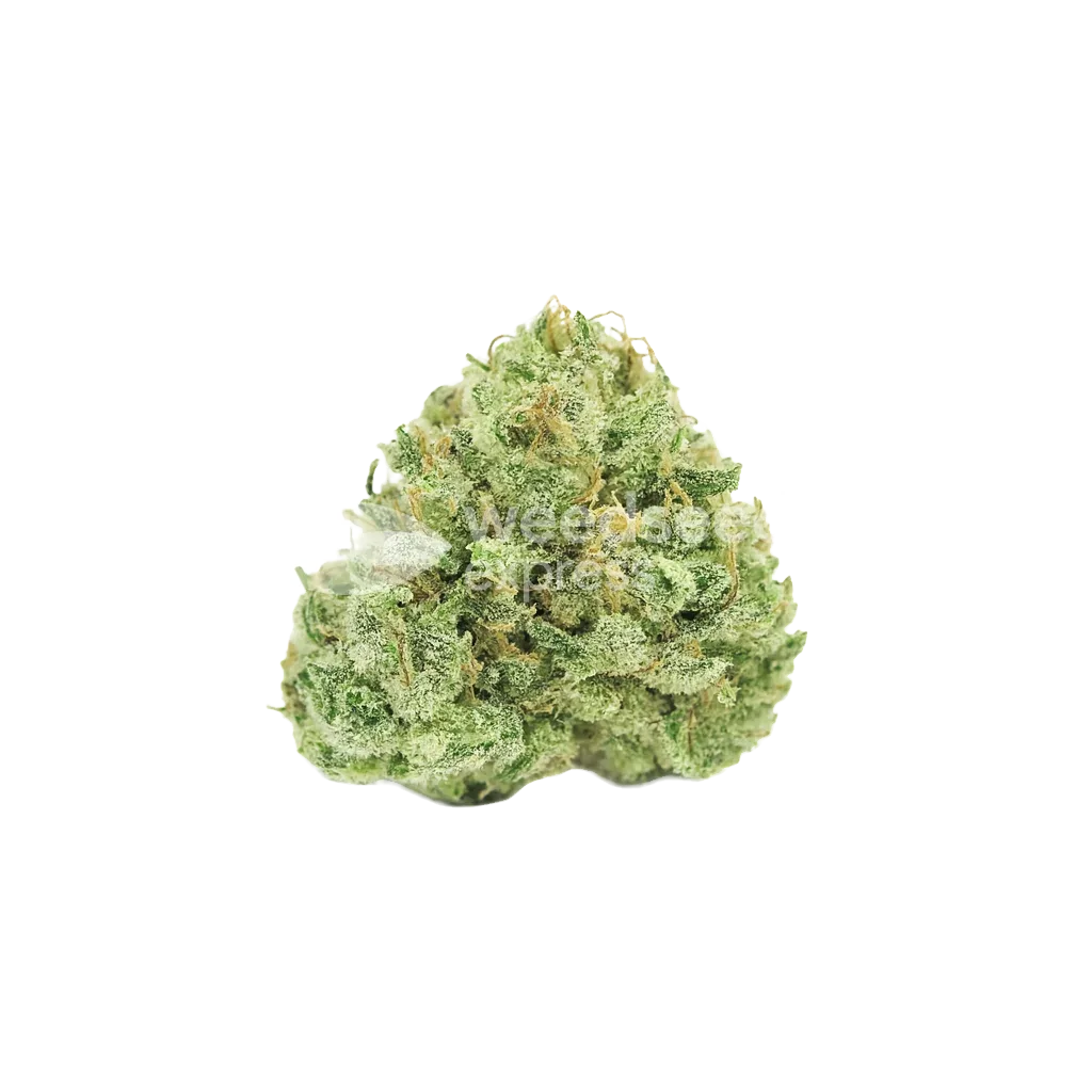Stardawg Auto Bud