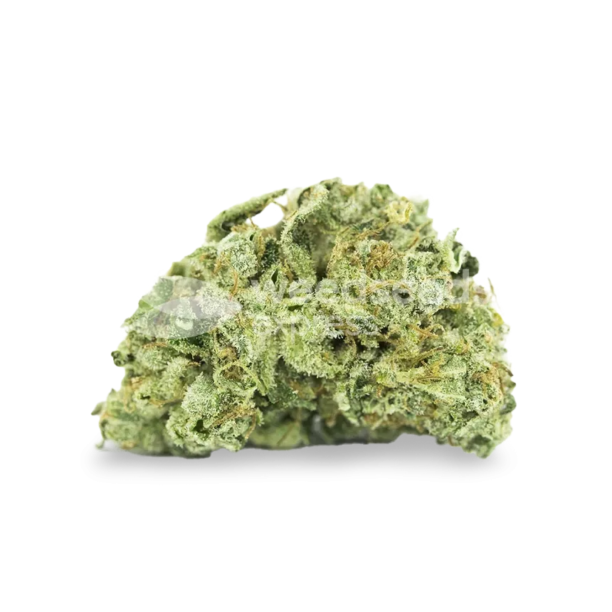 Stardawg bud
