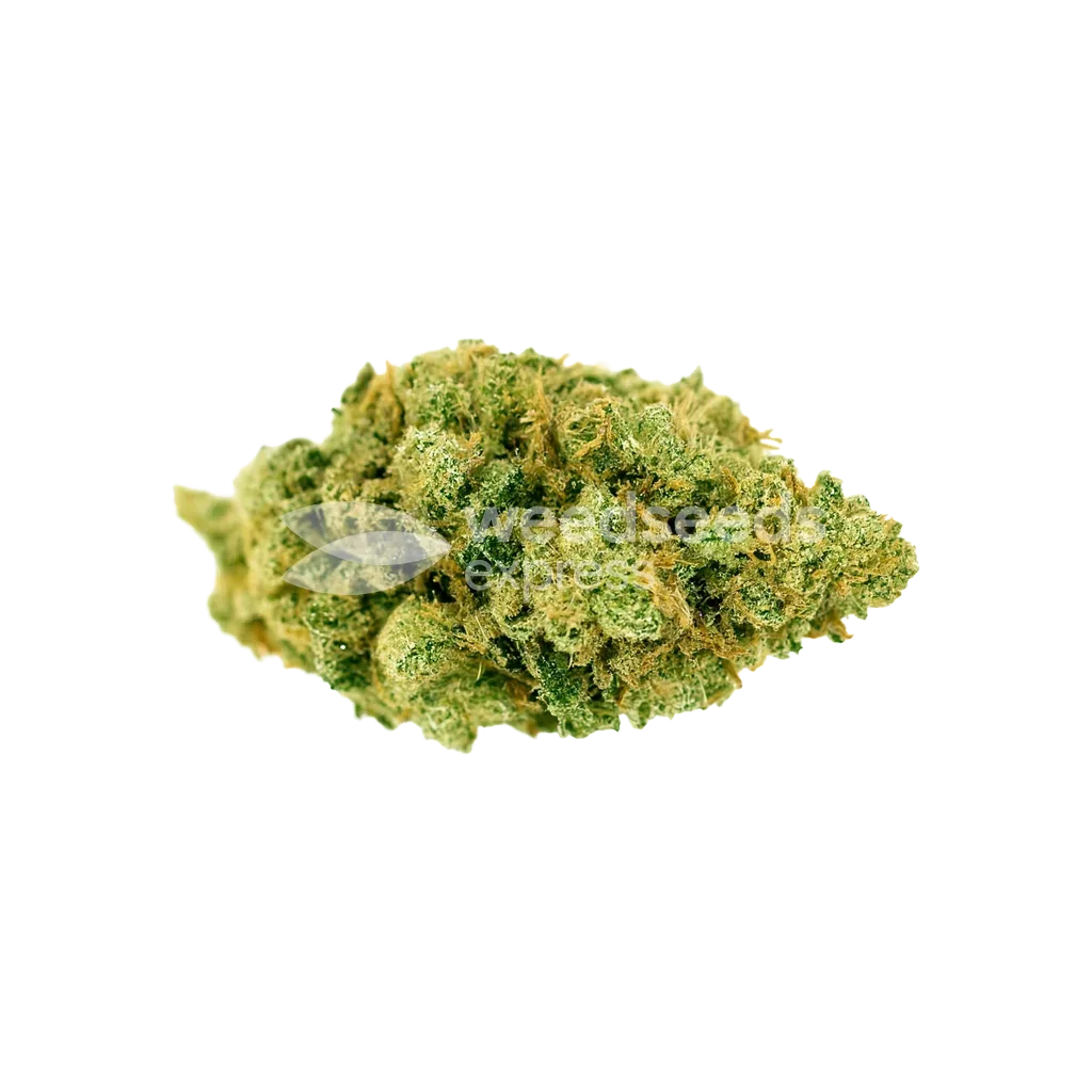 Strawberry Banana Auto Bud