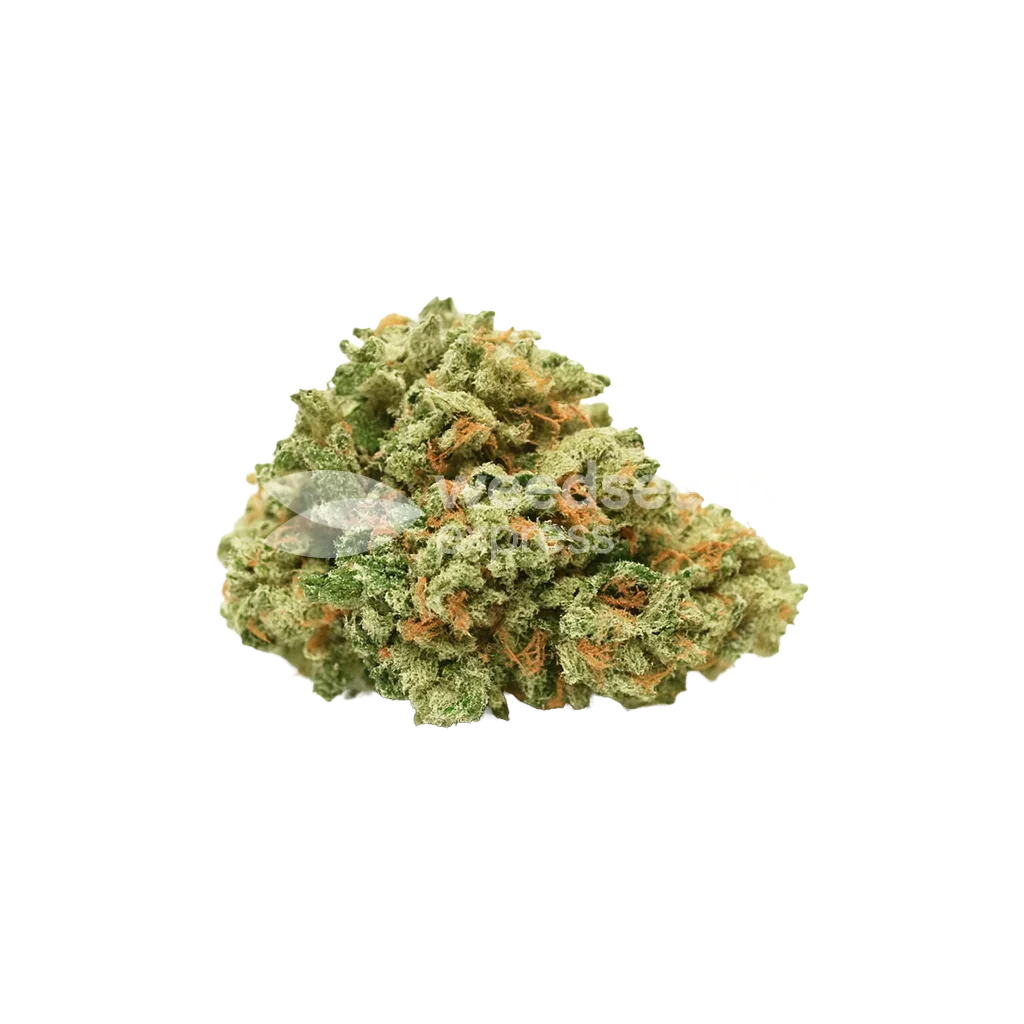 Strawberry Cough Auto Bud