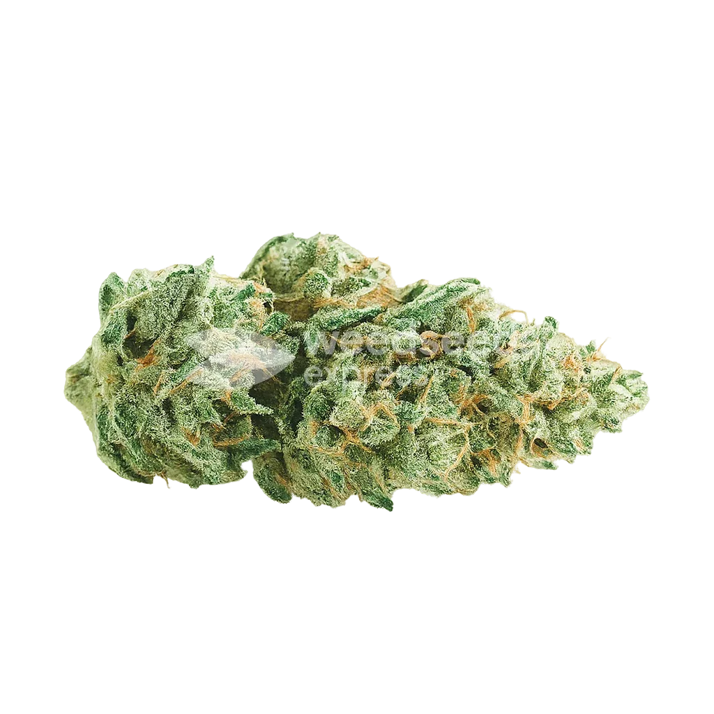 Super Skunk Auto Bud
