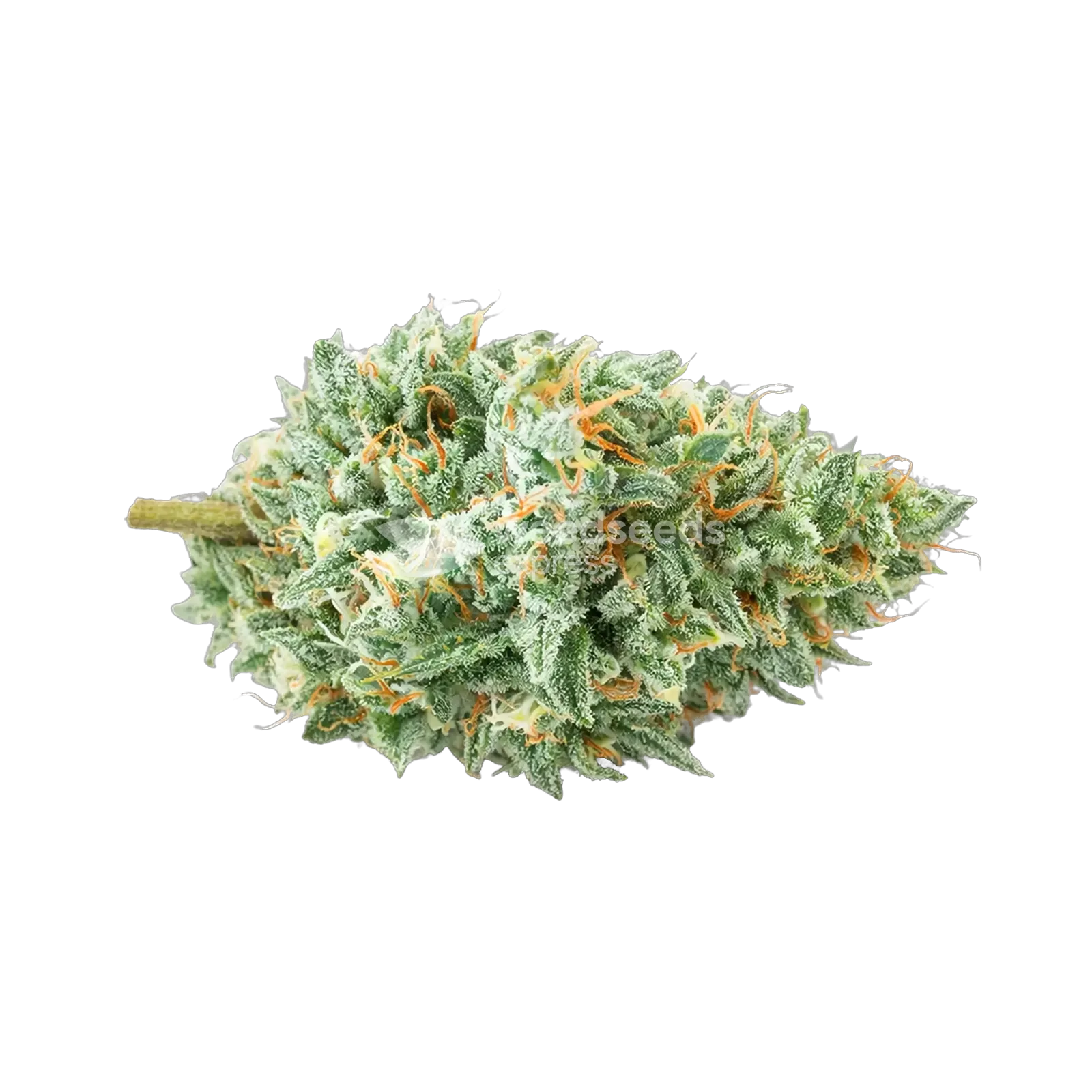 Tetra Cannabis Top