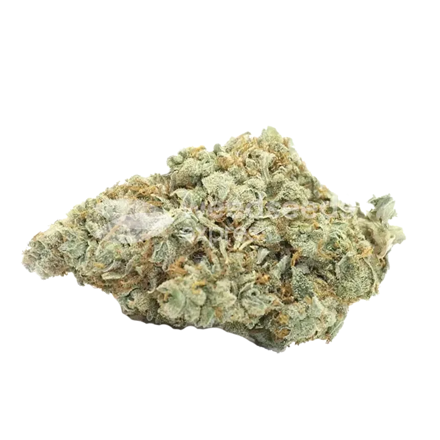 Tropicana Cookies Bud